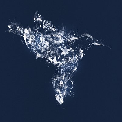 Floralbird, 2019 (kombinovaná média na plátně) od Teis Albers