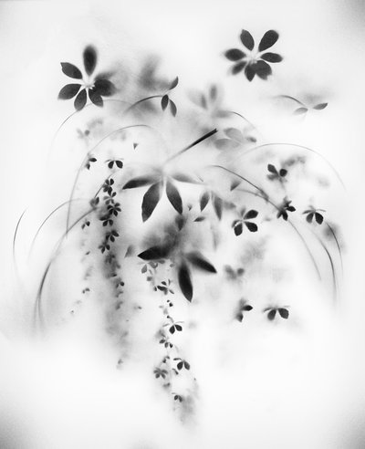 Natural Veil, 2018 (kombinovaná média na plátně) od Teis Albers
