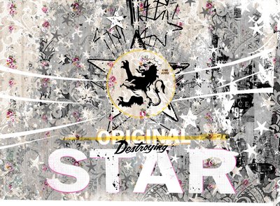 Original Star, 2018 (koláž na plátně) od Teis Albers