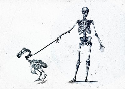 Walking my dodo, 2015 (kombinovaná média na plátně) od Teis Albers