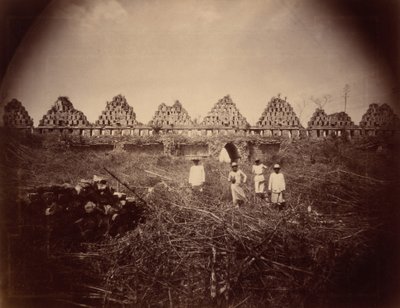 El Palacio de las Palomas, Uxmal (Palác holubů, Uxmal), 1893 (foto) od Teoberto Maler