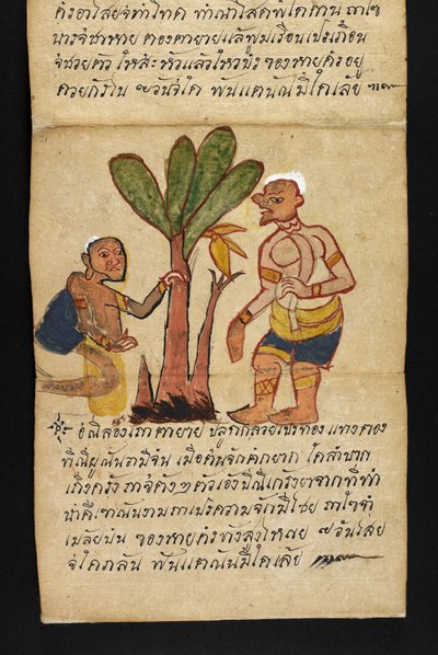Nebo. 16482, f.21 