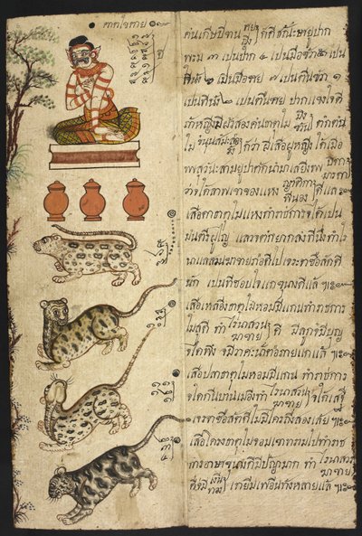 Nebo 4830 „Thajská věštecká příručka (Phrommachat), obsahující horoskopy založené na čínském zvěrokruhu“ (inkoust a barva na papíře) od Thai School