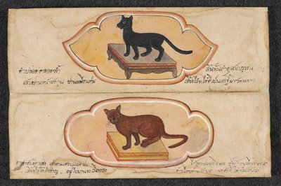 Siamské kočky, Fol. 1: dvě šťastné kočky na podporu podnikání a hromadění bohatství, Or. 16797, f.1 (pergamen) od Thai School