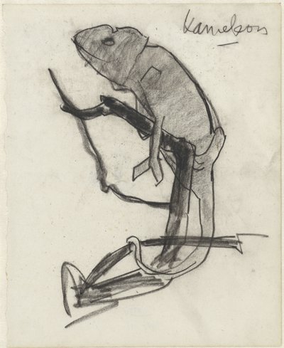 Chameleón od Theo Nieuwenhuis