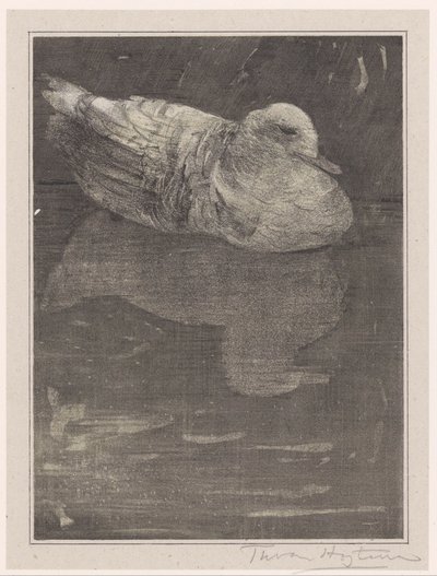 plovoucí kachna od Theo van Hoytema (signed by artist)