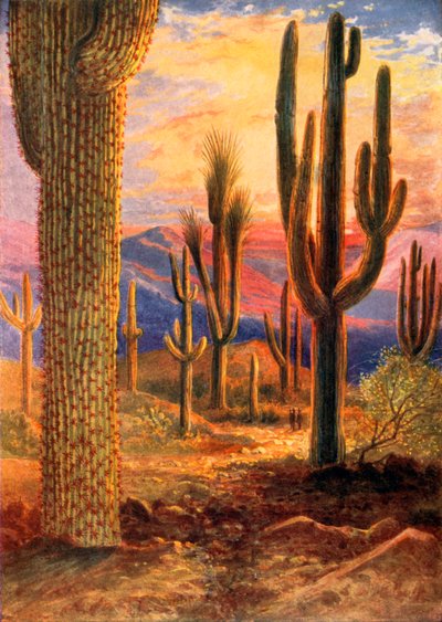 Vítěz pouště (barevná litografie) od Theobald Carreras