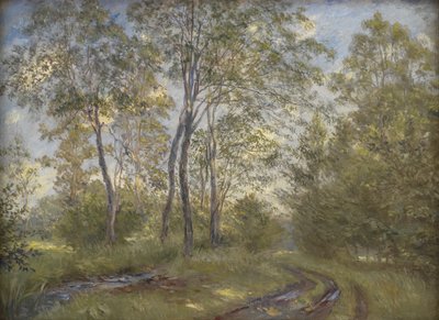 Řeka poblíž Meilgård Manor, Jutsko od Theodor Philipsen