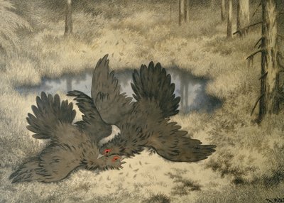 Ptačí trol tam bojuje od Theodor Kittelsen