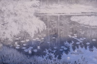 V obci Svartebudalen se nachází rybník od Theodor Severin Kittelsen