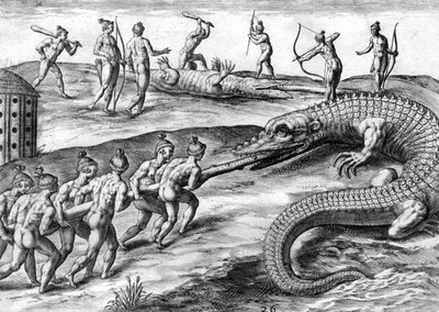 Timucuanští indiáni loví aligátora od Theodor de Bry