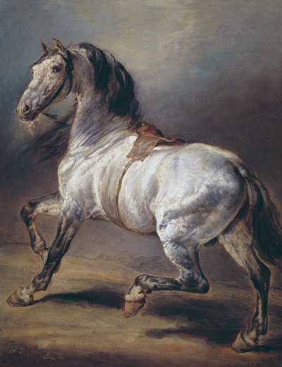 Studie koně od Theodore Gericault
