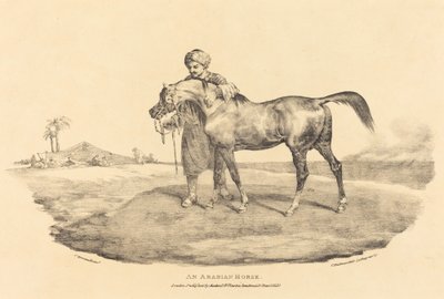 Arabský kůň od Theodore Gericault