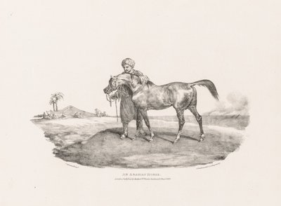 Arabský kůň od Theodore Gericault
