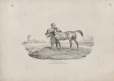 Arabský kůň od Theodore Gericault