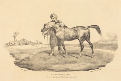 Arabský kůň od Theodore Gericault