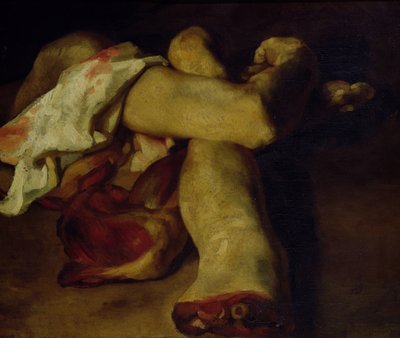 Anatomické kousky (olej na plátně) od Theodore Gericault