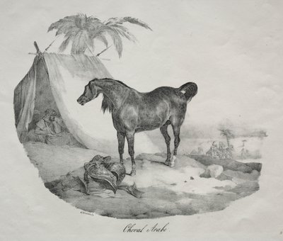 Arabský kůň od Theodore Gericault
