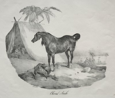 Arabský kůň od Theodore Gericault