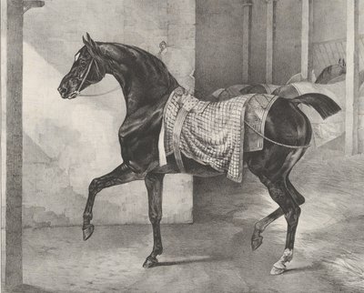 Černý kůň uvázaný ve stáji, 1822. od Theodore Gericault