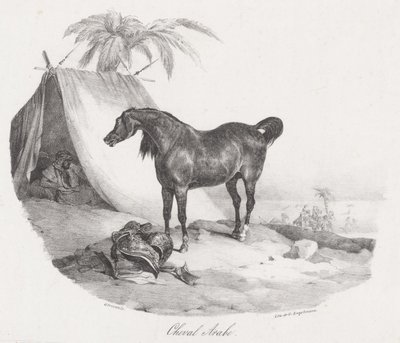 Arabský kůň (An Arabian Horse) od Theodore Gericault