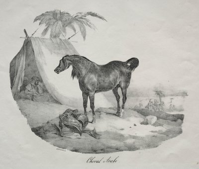 Arabský kůň. od Theodore Gericault