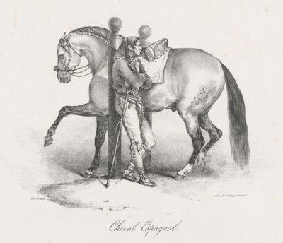 Španělský kůň (A Spanish Horse) od Theodore Gericault