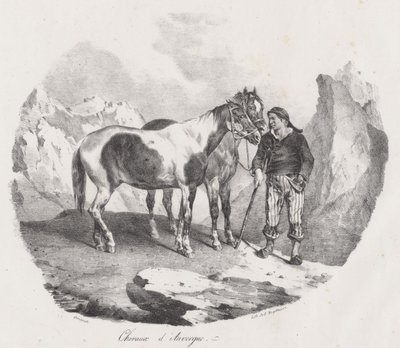 Koně z Auvergne (Auvergne Horses) od Theodore Gericault