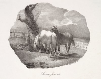Vlámští koně od Theodore Gericault