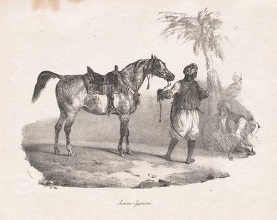 Egyptská klisna od Theodore Gericault