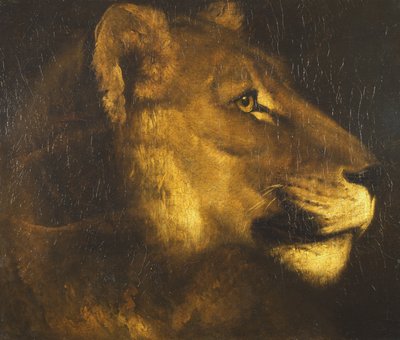 Hlava lvice od Theodore Gericault