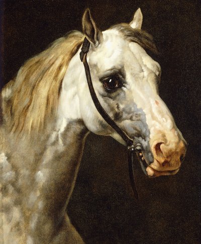 Hlava strakatého koně, od Theodore Gericault