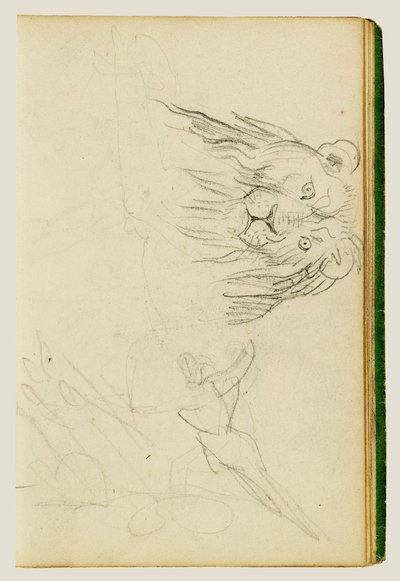 Pohled shora na sedícího lva od Theodore Gericault