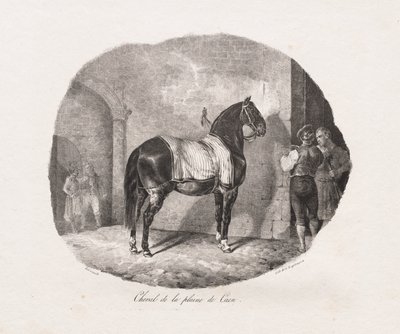 Kůň z Caenské pláně od Theodore Gericault