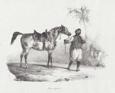 Egyptská klisna (An Egyptian Mare) od Theodore Gericault