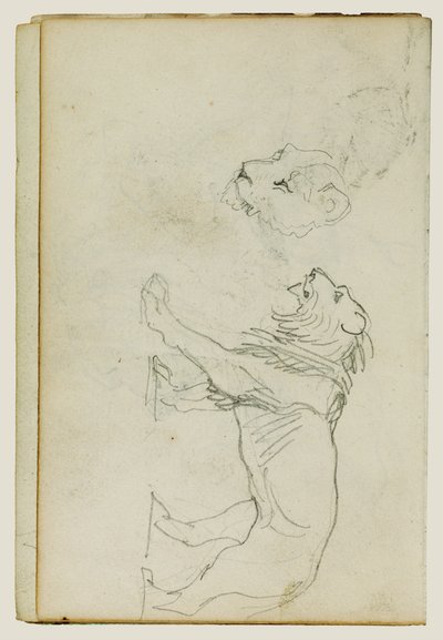 Kráčející lev, hlava lvice od Theodore Gericault