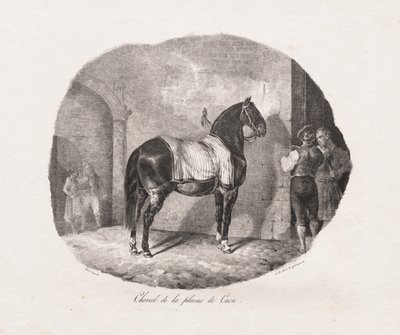 Litografické studie koní: Pl. 7, Kůň z pláně Caen, 1822. od Theodore Gericault