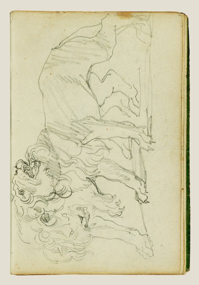 Dvojice lvů od Theodore Gericault