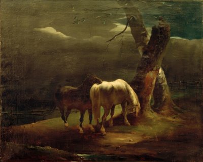Koně na pastvině od Theodore Gericault