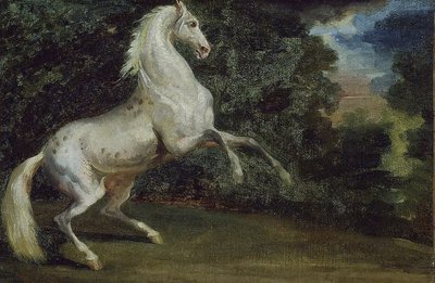 Vzpínající se kůň od Theodore Gericault