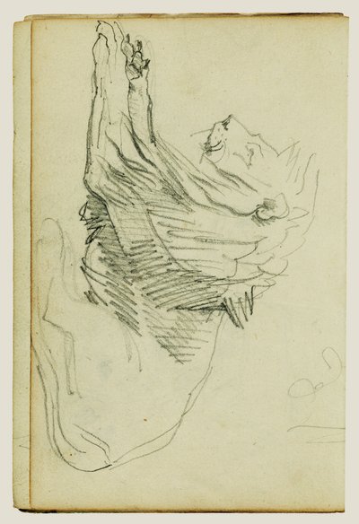 Sedící lev od Theodore Gericault