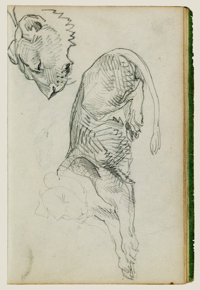 Sedící lev, hlava lvice od Theodore Gericault