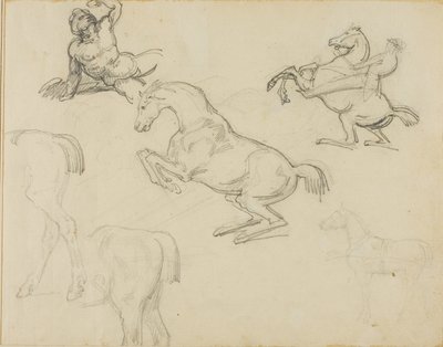 Náčrtky: Ležící akt, jezdec a různí koně od Theodore Gericault