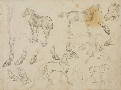 Náčrtky koně od Theodore Gericault