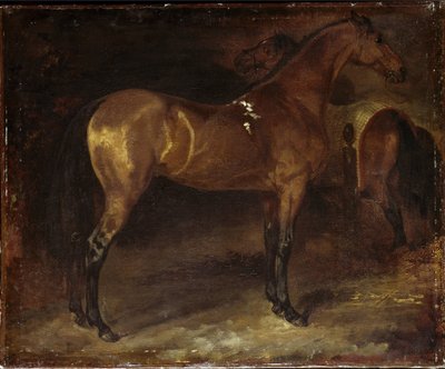 Španělský kůň - olej na plátně od Theodore Gericault