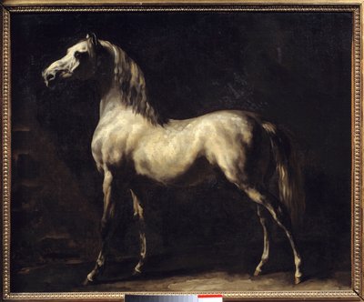 Studie obrazu koně od Theodora Gericaulta od Theodore Gericault
