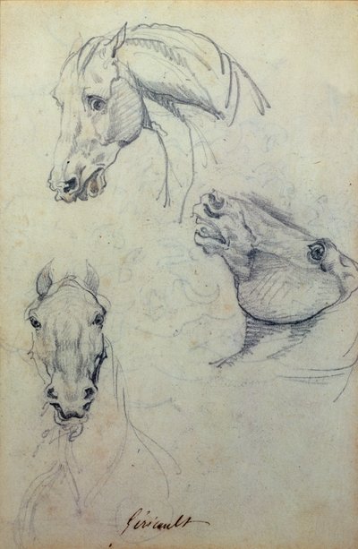 Tři koňské hlavy (tužka) od Theodore Gericault