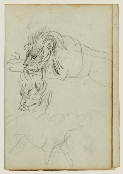 Tři studie lvů od Theodore Gericault
