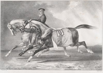 Dva strakatě šedí koně při tréninku od Theodore Gericault