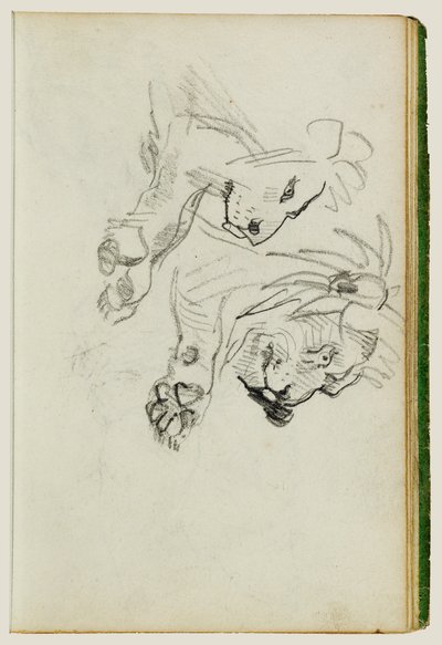 Dvě studie o lvech od Theodore Gericault